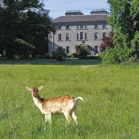 Coopershill House 4*