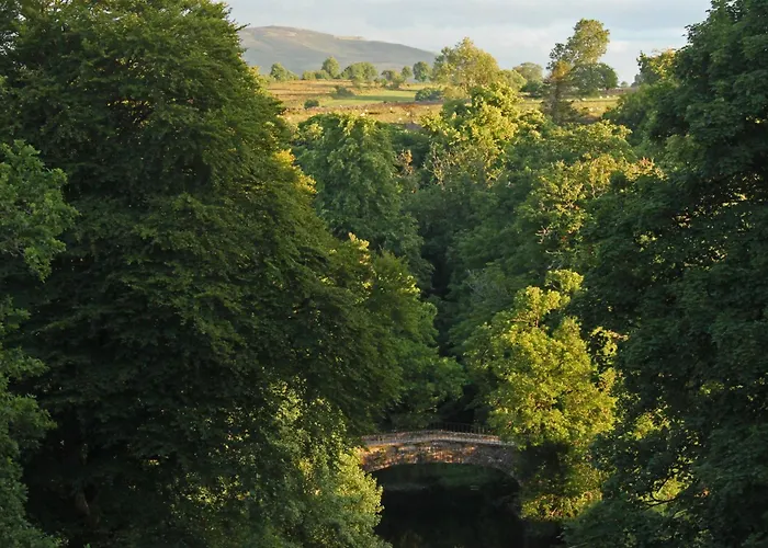 Coopershill House 4*