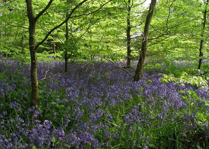 Coopershill House Гостевой дом