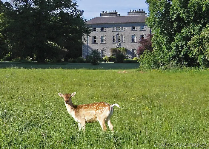 Coopershill House 4*